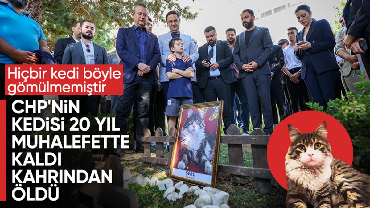 CHP’nin kedisi Şero toprağa verildi