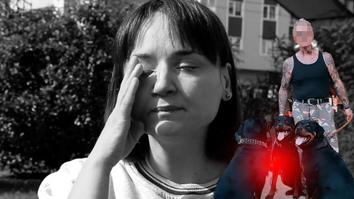 4 köpeğin saldırısına uğrayan köpek telef oldu: Sahibi ise yaralandı!